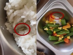 Heboh Ada Ulat pada Nasi dan Sayur Menu MBG di SMK Jambi