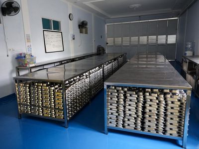 Penampakan Dapur MBG di Bandung yang Bikin Ratusan Siswa Keracunan