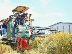 Petani Ungkap Fakta ke Sudaryono, Baru di Era Prabowo Panen Padi Dua Kali Petani Ungkap Fakta ke Sudaryono, Baru di Era Prabowo Panen Padi Dua Kali