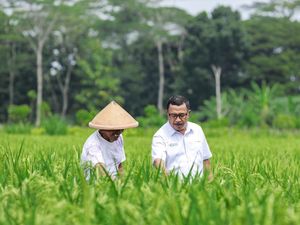 Dukung Produktivitas Pertanian, Pupuk Kaltim Perluas Cakupan Agrosolution Dukung Produktivitas Pertanian, Pupuk Kaltim Perluas Cakupan Agrosolution