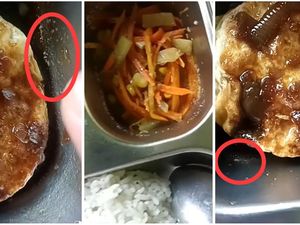 Heboh, Ada Belatung pada Menu MBG di Lampung Heboh, Ada Belatung pada Menu MBG di Lampung