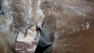 Warga Tammun Kembali Jadi Korban, Serangan Israel Guncang Tepi Barat