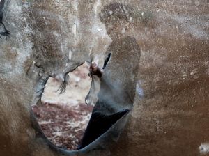 Warga Tammun Kembali Jadi Korban, Serangan Israel Guncang Tepi Barat