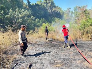 Lahan 1 Hektare di Ban Karangasem Terbakar, Api Merembet ke Kuburan Lahan 1 Hektare di Ban Karangasem Terbakar, Api Merembet ke Kuburan