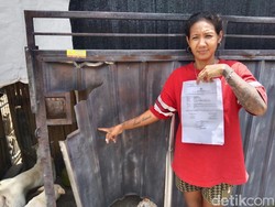 Shelter Anjing di Tabanan Diduga Dipersekusi Warga, Pemilik Lapor Polisi