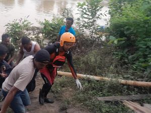 Jasad Saidin Ditemukan Tersangkut di Tanaman Eceng Gondok Sungai Musi Jasad Saidin Ditemukan Tersangkut di Tanaman Eceng Gondok Sungai Musi