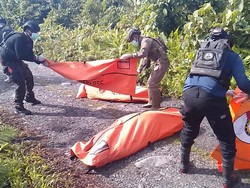 6 Fakta KKB Pimpinan Elkius Kobak Bantai 5 Pendulang Emas di Yahukimo