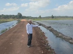 Ratusan Hektar Sawah di Bangka Selatan Terendam Banjir