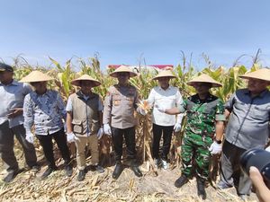 Panen Raya Jagung Kuartal III Digelar di Sidoarjo untuk Swasembada Pangan