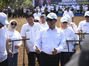 Tanam Jagung Serentak Bareng DPD, Mentan Dorong Lompatan Produksi Pangan