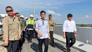 Momen Gibran Turun Cek Proyek Tol Palembang-Betung