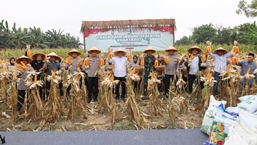 Dukung Ketahanan Pangan, Polda Banten Tanam Jagung di Lahan 1.772 Hektare