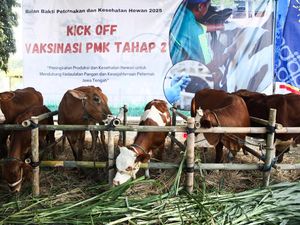 Pemprov Jateng Bakal Vaksinasi PMK Sejuta Hewan Ternak pada 2025 Pemprov Jateng Bakal Vaksinasi PMK Sejuta Hewan Ternak pada 2025
