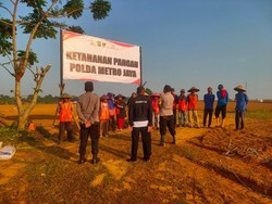 Polda Metro Siapkan Lahan 25 Hektare di Cikarang untuk Tanam Jagung