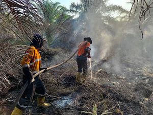 Satgas Karhutla Fokus Padamkan Wilayah Gambut di Muara Enim dan OKI Satgas Karhutla Fokus Padamkan Wilayah Gambut di Muara Enim dan OKI