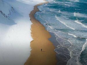 Hal-hal Aneh yang Diposting Orang di Internet, Kamu Mungkin Belum Tahu