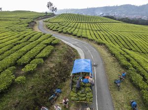PTPN I Teken 16 MoU Ekspor Produk Hilir PTPN I Teken 16 MoU Ekspor Produk Hilir