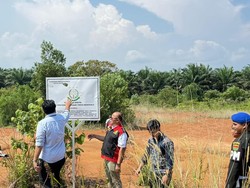 Kejati Sita 2 Bidang Tanah Milik Tersangka Korupsi Tambang di Bengkulu