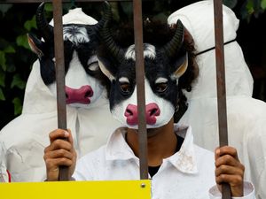 Bertopeng dan Masuk Kandang, Aktivis Greenpeace Protes di Konferensi PBB