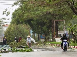 Badai Bualoi Terjang Vietnam, 11 Orang Tewas Badai Bualoi Terjang Vietnam, 11 Orang Tewas