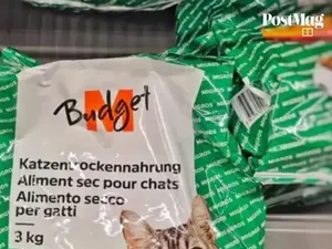 Demi Hidup Hemat, Mahasiswa S3 Ini Konsumsi Makanan Kucing Demi Hidup Hemat, Mahasiswa S3 Ini Konsumsi Makanan Kucing