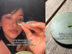 Cuma Dapat Daun di Restoran Bintang Michelin, Vlogger Ini Kaget Cuma Dapat Daun di Restoran Bintang Michelin, Vlogger Ini Kaget