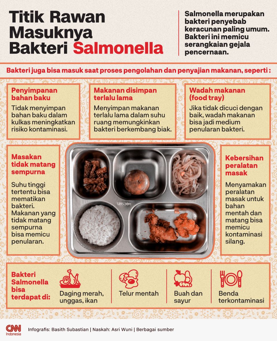 Infografis Titik Rawan Penularan Salmonella MBG