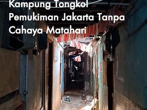 Video: Kampung Tongkol Pemukiman Jakarta Tanpa Cahaya Matahari Video: Kampung Tongkol Pemukiman Jakarta Tanpa Cahaya Matahari