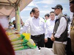 Mentan Amran Dorong Kaltara Jadi Lumbung Pangan Perbatasan & Pintu Ekspor