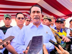 Mentan Tebar Bibit Rp 9,9 T ke Perbatasan, Dongkrak Ekspor Kakao-Kelapa Pandan