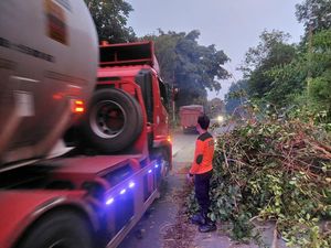 Pohon Tumbang di Jalan Sekayu-Palembang Sempat Bikin Macet Pohon Tumbang di Jalan Sekayu-Palembang Sempat Bikin Macet