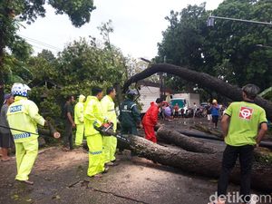 Total 33 Pohon Tumbang Imbas Hujan Angin di Boyolali, 2 Kendaraan Tertimpa Total 33 Pohon Tumbang Imbas Hujan Angin di Boyolali, 2 Kendaraan Tertimpa