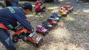 Petualangan Seru Mobil RC Menyusuri Lereng Bromo