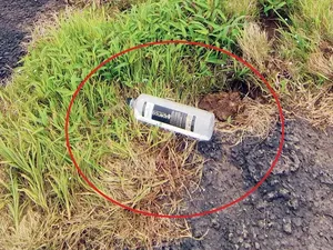 Dataran Tinggi Kaas di India Terancam Rusak, Ulah Turis Tak Bertanggung Jawab