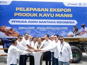 Dari Desa, Pemuda Kerinci Ini Terbangkan 10 Ton Kayu Manis ke Turki Dari Desa, Pemuda Kerinci Ini Terbangkan 10 Ton Kayu Manis ke Turki