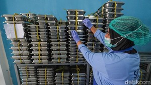 Dinkes Ungkap Ada 288 SPPG di Kabupaten Bogor, Baru 35 yang Kantongi SLHS