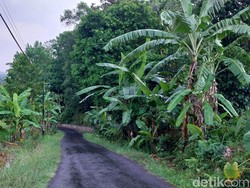 Geger Isu Sosok Putih di Jalan Desa Majalengka Saat Tengah Malam