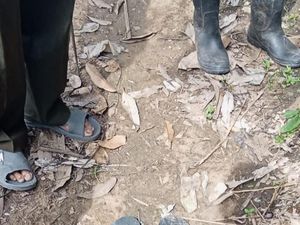 Hilang di Hutan Samarinda, Ritual Pencarian Agung Bakal Dilakukan