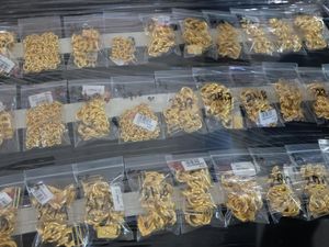 Bea Cukai Gagalkan Penyelundupan 2,5 Kg Emas dari Malaysia Bea Cukai Gagalkan Penyelundupan 2,5 Kg Emas dari Malaysia