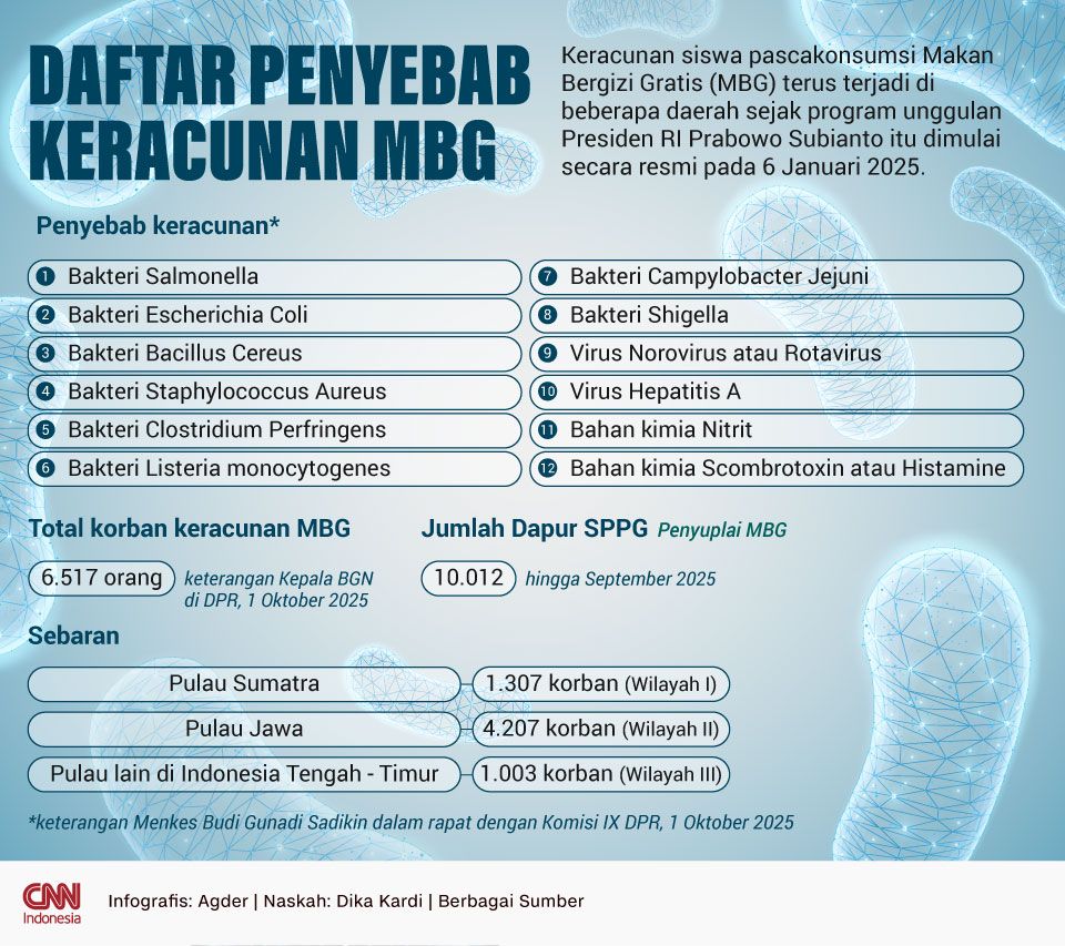 infografis: Daftar Penyebab Keracunan MBG
