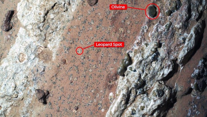 Mars Menyimpan Rahasia? Temuan NASA Ini Bikin Penasaran!