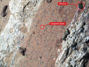 NASA Temukan Bukti Baru di Mars, Benarkah Ada Potensi Kehidupan? NASA Temukan Bukti Baru di Mars, Benarkah Ada Potensi Kehidupan?