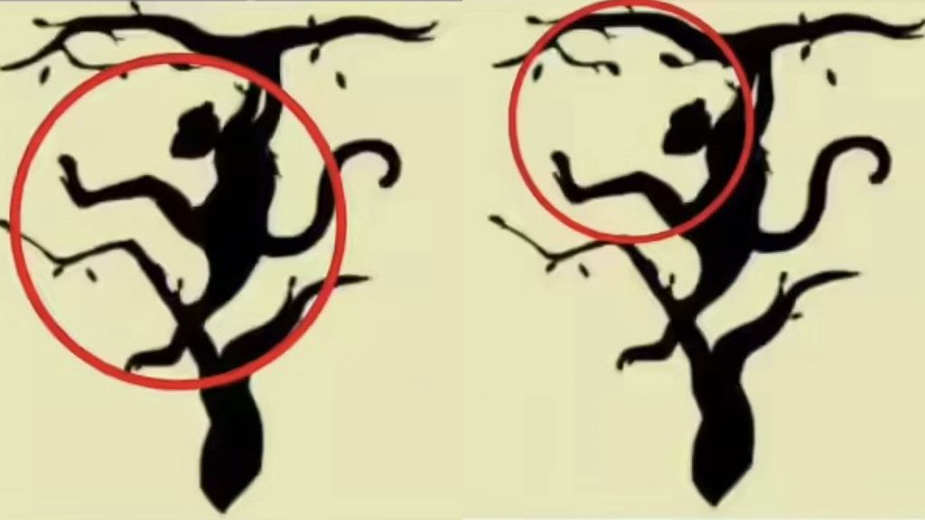 Tes kepribadian ilusi optik, gambar monyet atau harimau yang pertama dilihat. Tes kepribadian ini bisa ungkap sifat tersembunyi yang kamu miliki.