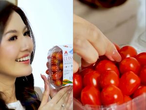 Asty Ananta Kini Jadi Pengusaha Tomat Cherry Sukses, Begini Potretnya! Asty Ananta Kini Jadi Pengusaha Tomat Cherry Sukses, Begini Potretnya!