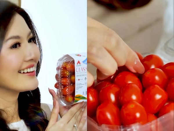 Asty Ananta Kini Jadi Pengusaha Tomat Cherry Sukses, Begini Potretnya!