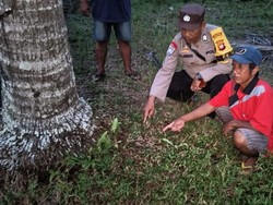 Tangisan Bayi Laki-laki Mengungkap Dosa Ipar di Kubu Raya Tangisan Bayi Laki-laki Mengungkap Dosa Ipar di Kubu Raya