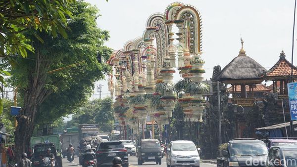 Megahnya Penjor Beradu Sambut Tradisi Aci Tabuh Rah Pengangon