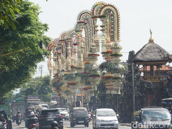 Megahnya Penjor Beradu Sambut Tradisi Aci Tabuh Rah Pengangon