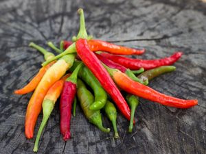 Harga Sembako Jogja Hari Ini 2 Oktober 2025: Banderol Cabai Makin Pedas!