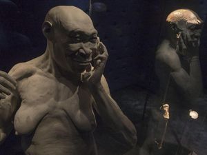 Manusia Jawa Kembali ke RI, Sisi Gelap Penemuan Pithecanthropus Erectus Manusia Jawa Kembali ke RI, Sisi Gelap Penemuan Pithecanthropus Erectus